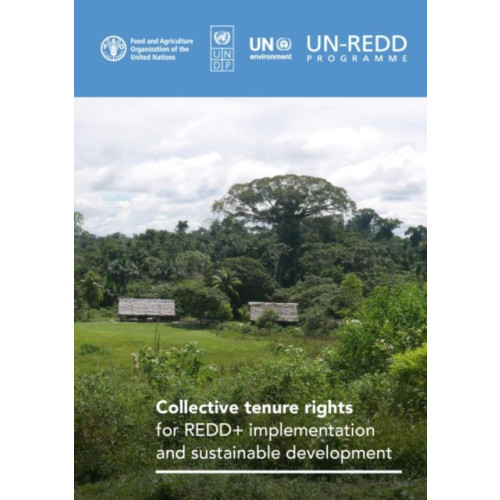 Food & Agriculture Organization of the United Nations (FAO) Collective tenure rights for REDD+ implementation and sustainable development (häftad, eng)