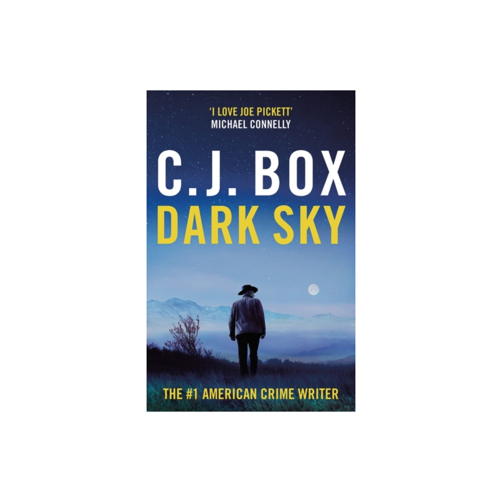 Produktbild för Dark Sky (häftad, eng)
