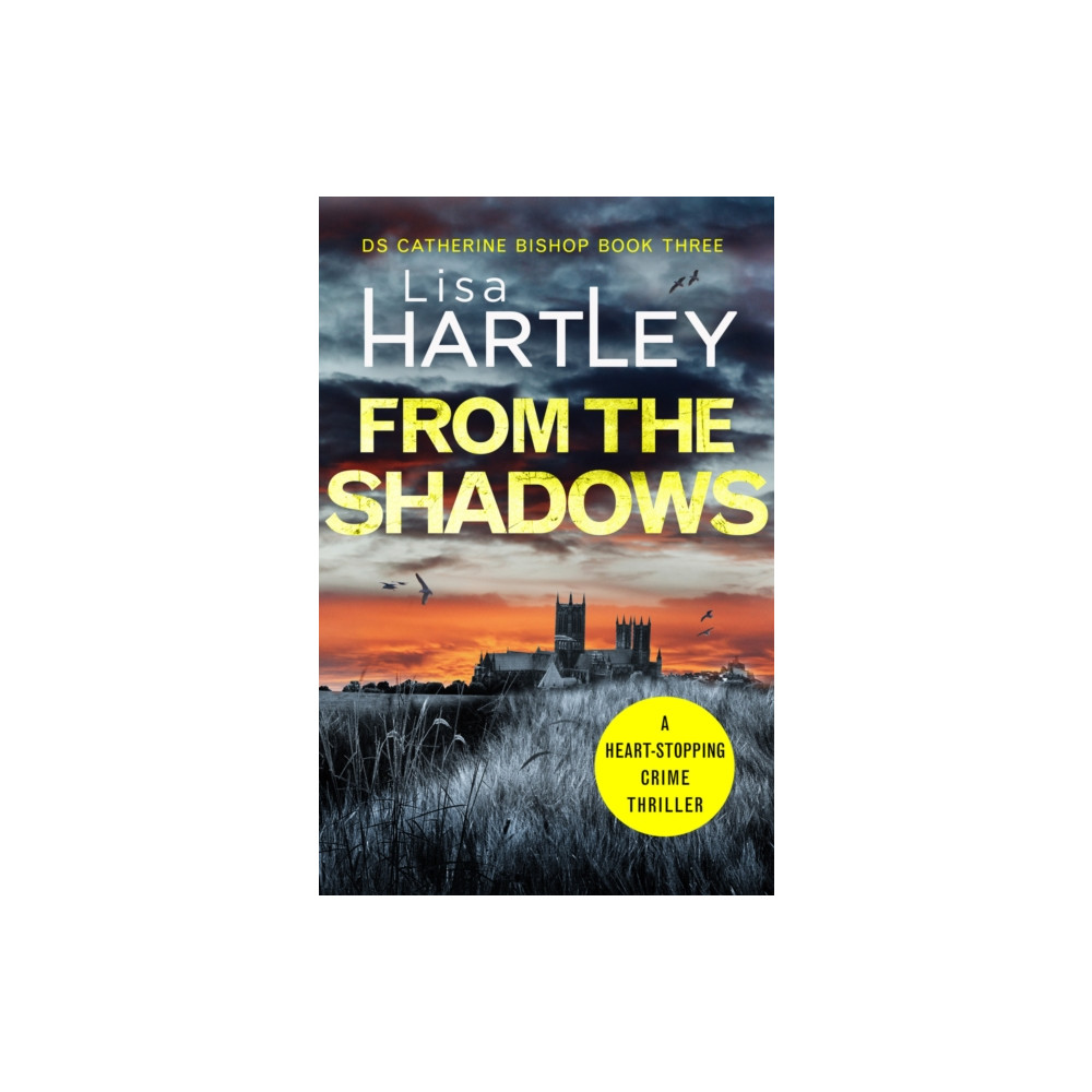 Produktbild för From the Shadows (häftad, eng)