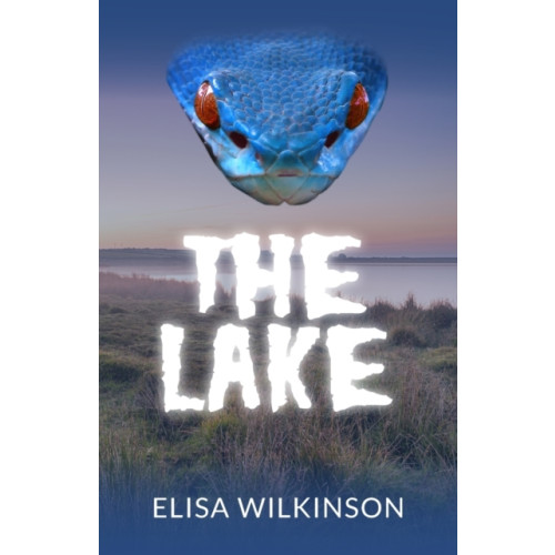 New Generation Publishing The Lake (häftad, eng)