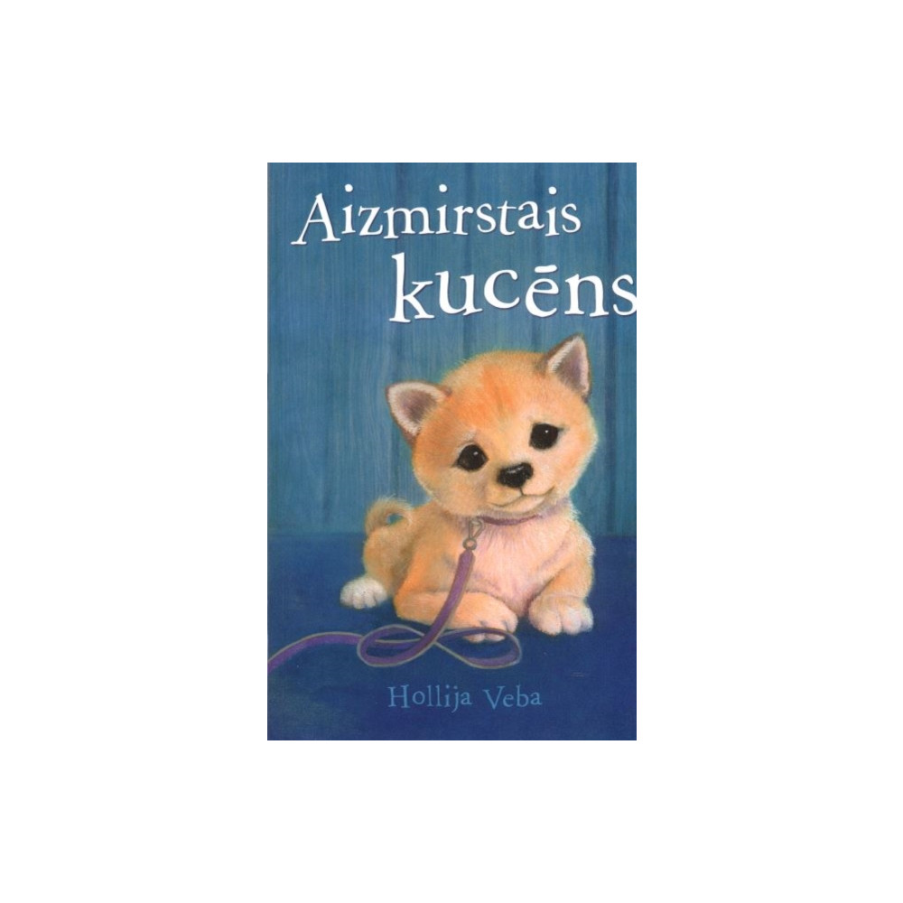 Produktbild för Aizmirstais Kucns (häftad, lav)