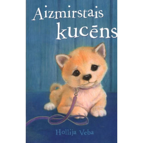 Bright Books Aizmirstais Kucns (häftad, lav)