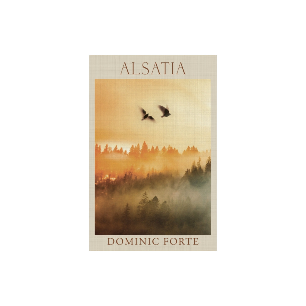 Produktbild för Alsatia (häftad, eng)