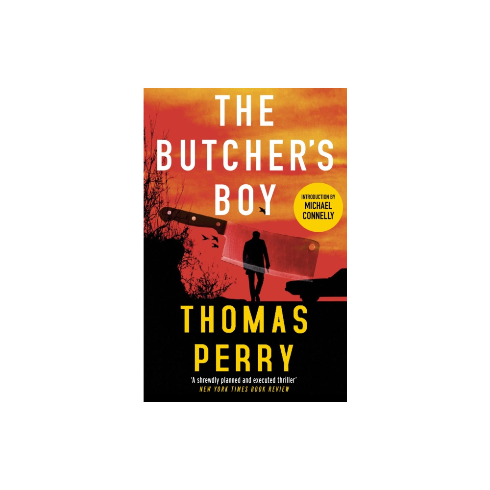 Produktbild för The Butcher's Boy (häftad, eng)
