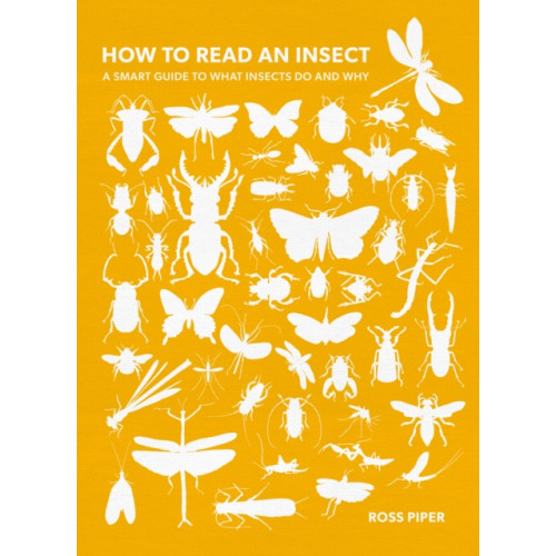 The History Press Ltd How to Read an Insect (häftad, eng)