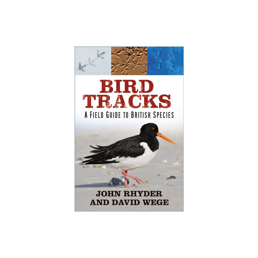 Produktbild för Bird Tracks (häftad, eng)