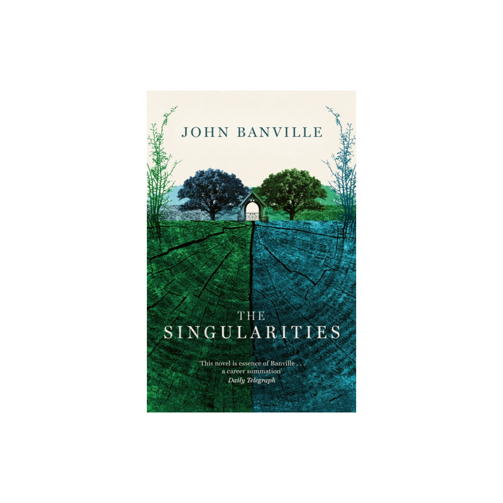 Produktbild för The Singularities (häftad, eng)