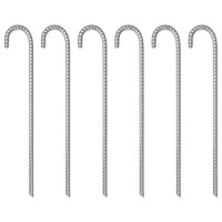 Produktbild för Tältpinnar 6 st 41,5 cm Ø12 mm galvaniserat stål