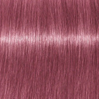 Produktbild för Professional Igora Vibrance Kit 9.5-98 Violet Red Toner