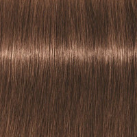 Produktbild för Professional Igora Vibrance Kit 6-6 Dark Blonde Chocolate