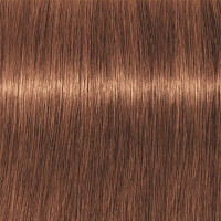 Produktbild för Professional Igora Vibrance Kit 7-57 Medium Blonde Gold Copper
