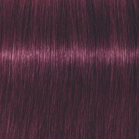 Produktbild för Professional Igora Vibrance Kit 6-99 Dark Blonde Violet Extra