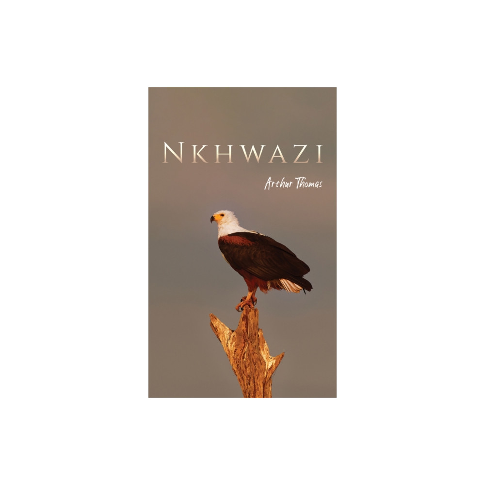 Produktbild för Nkhwazi (häftad, eng)
