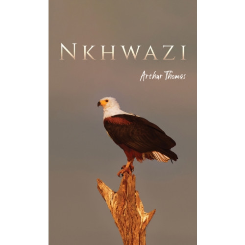 Austin Macauley Publishers Nkhwazi (häftad, eng)