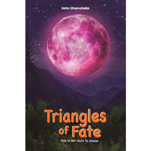 Austin Macauley Publishers Triangles of Fate (häftad, eng)