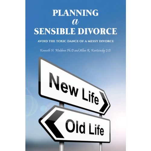 Austin Macauley Publishers Planning a Sensible Divorce (häftad, eng)