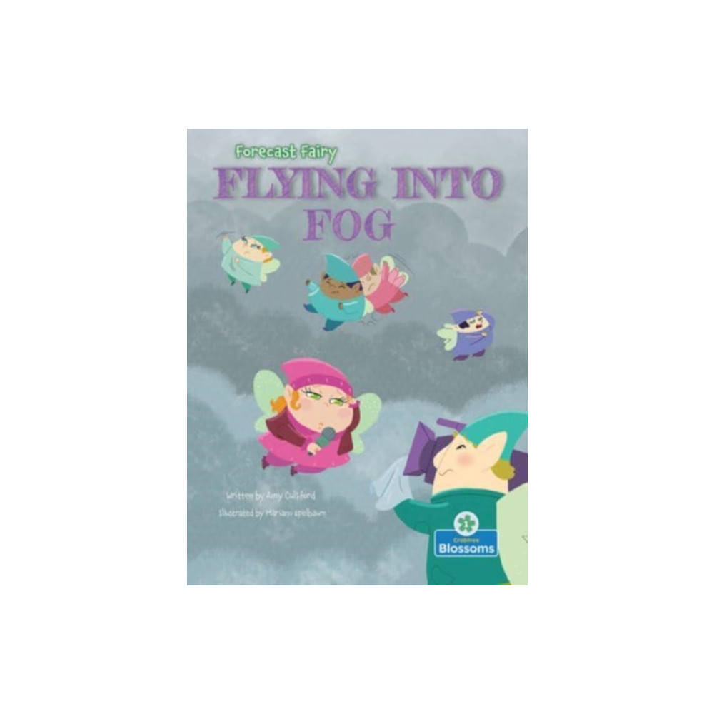 Produktbild för Flying Into Fog (häftad, eng)