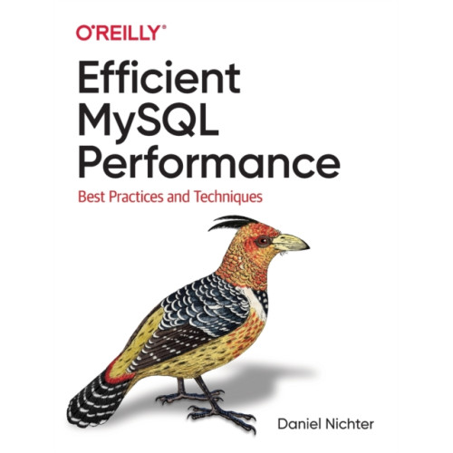 O'Reilly Media Efficient MySQL Performance (häftad, eng)
