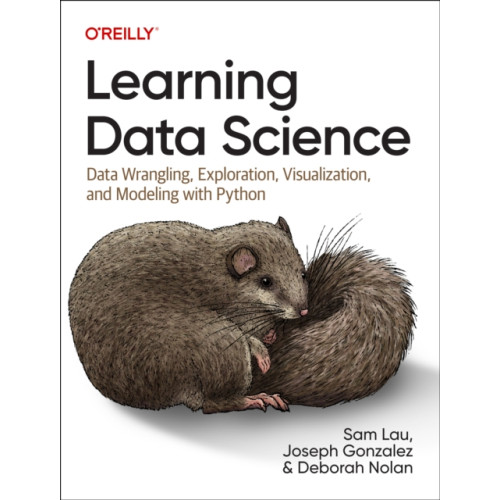 O'Reilly Media Learning Data Science (häftad, eng)