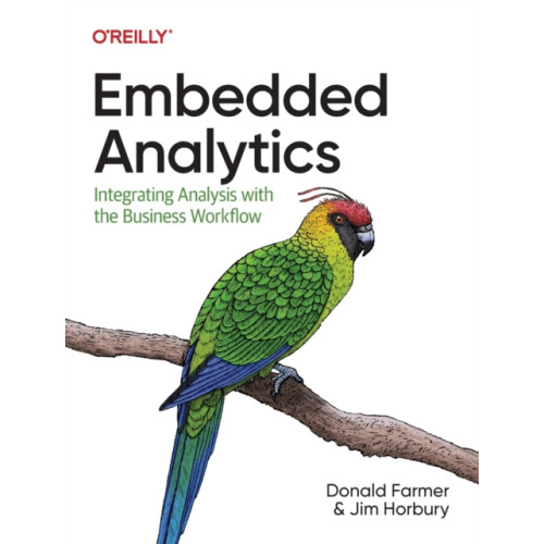 O'Reilly Media Embedded Analytics (häftad, eng)