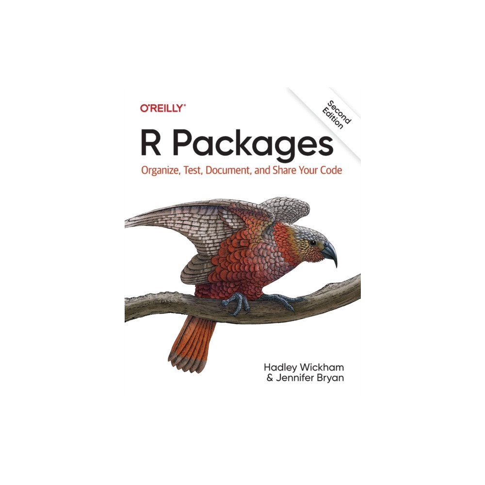 Produktbild för R Packages (häftad, eng)