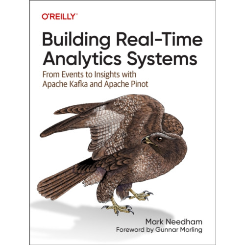 O'Reilly Media Building Real-Time Analytics Systems (häftad, eng)