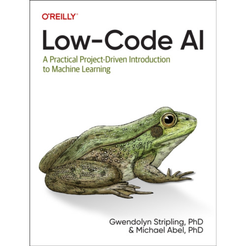 O'Reilly Media Low-Code AI (häftad, eng)