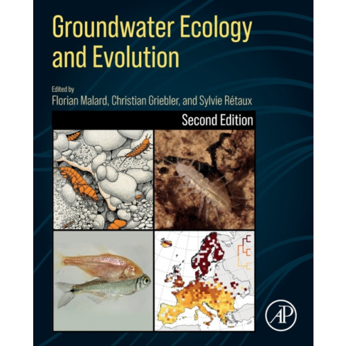 Elsevier Science Publishing Co Inc Groundwater Ecology and Evolution (häftad, eng)