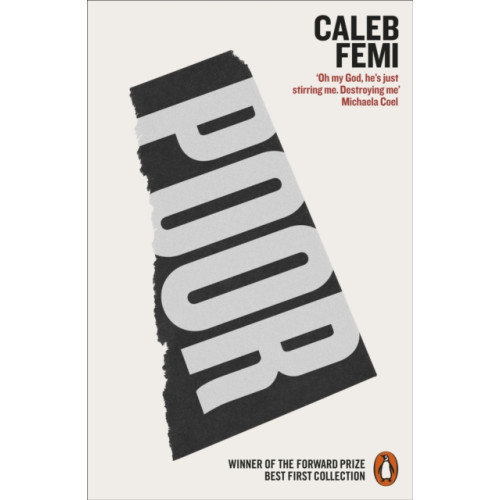 Penguin books ltd Poor (häftad, eng)