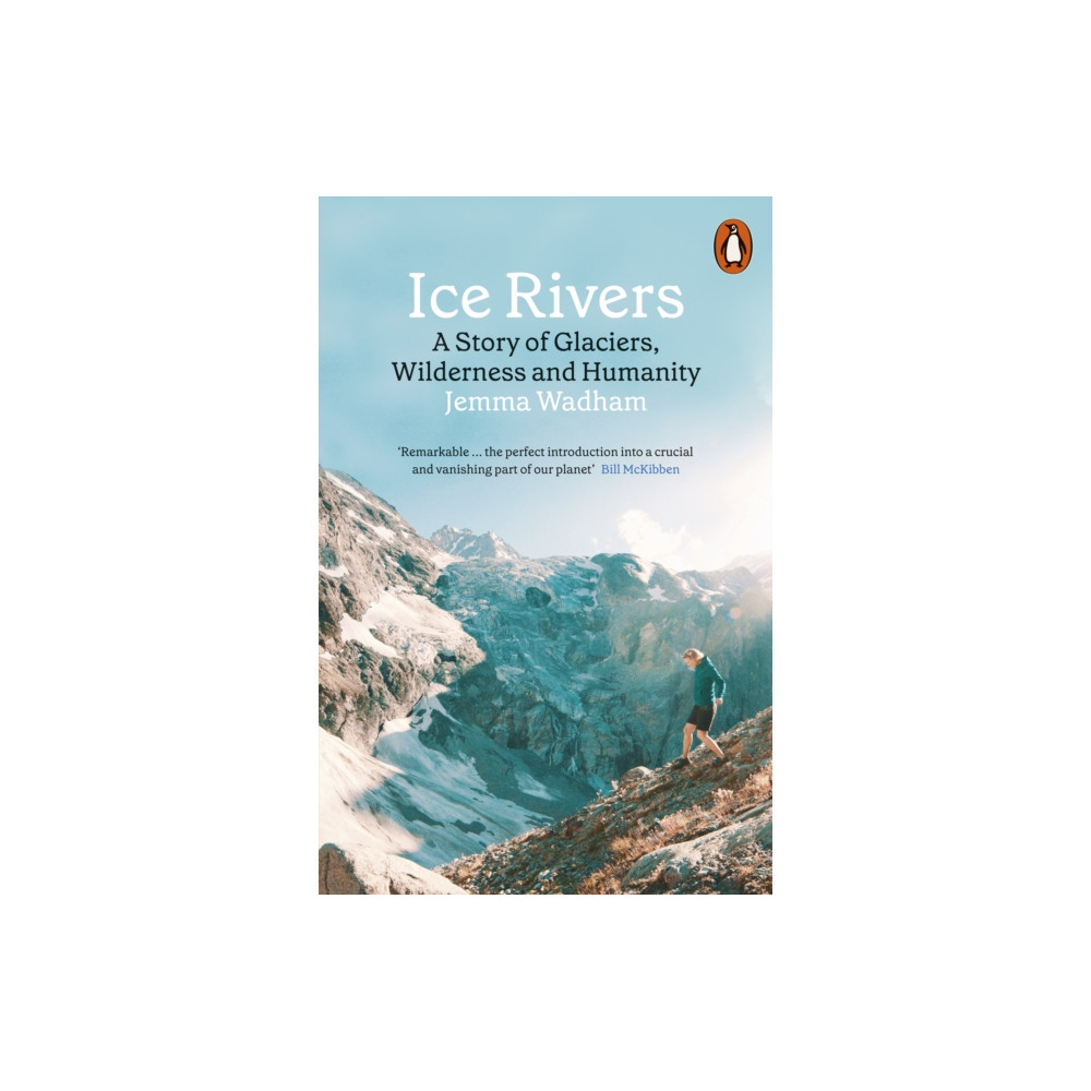 Produktbild för Ice Rivers (häftad, eng)