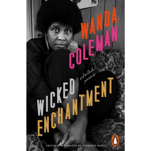 Penguin books ltd Wicked Enchantment (häftad, eng)