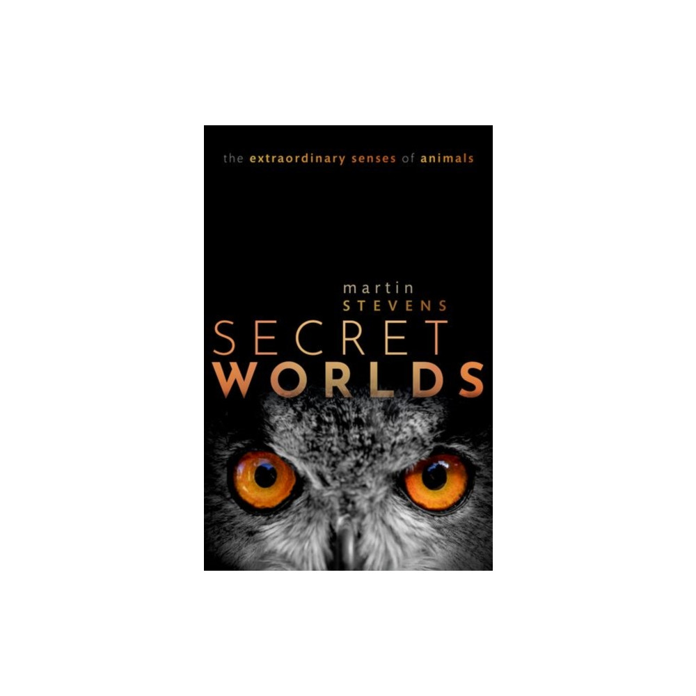 Produktbild för Secret Worlds (inbunden, eng)