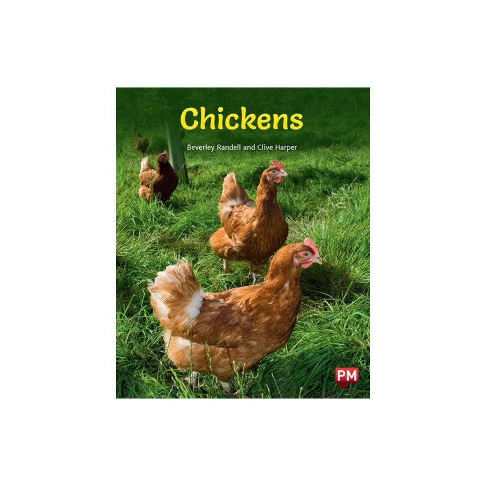 Produktbild för CHICKENS (häftad, eng)