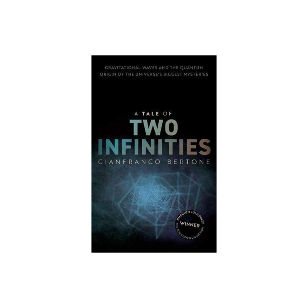 Produktbild för A Tale of Two Infinities (inbunden, eng)