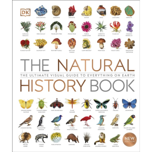 Dorling Kindersley Ltd The Natural History Book (inbunden, eng)