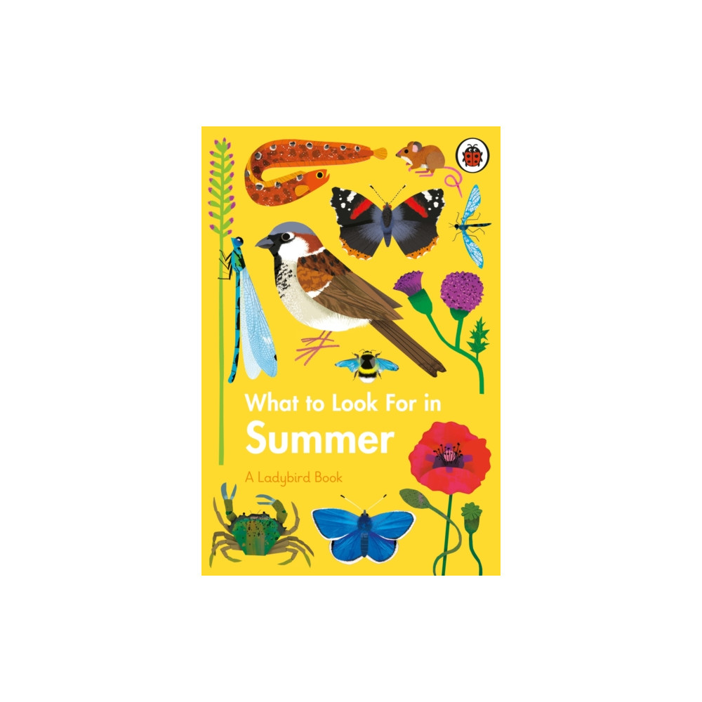 Produktbild för What to Look For in Summer (inbunden, eng)