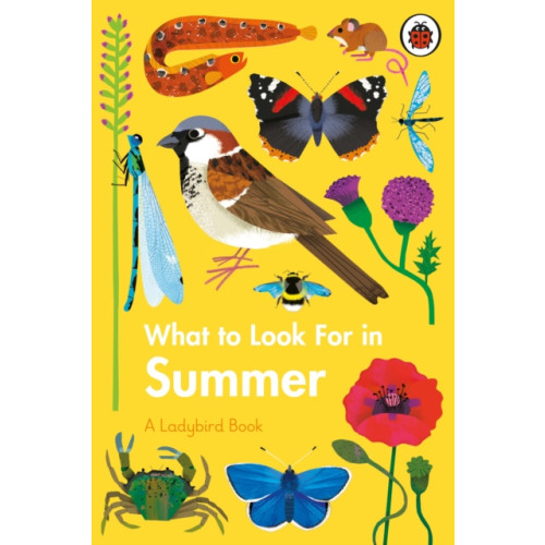 Penguin Random House Children's UK What to Look For in Summer (inbunden, eng)