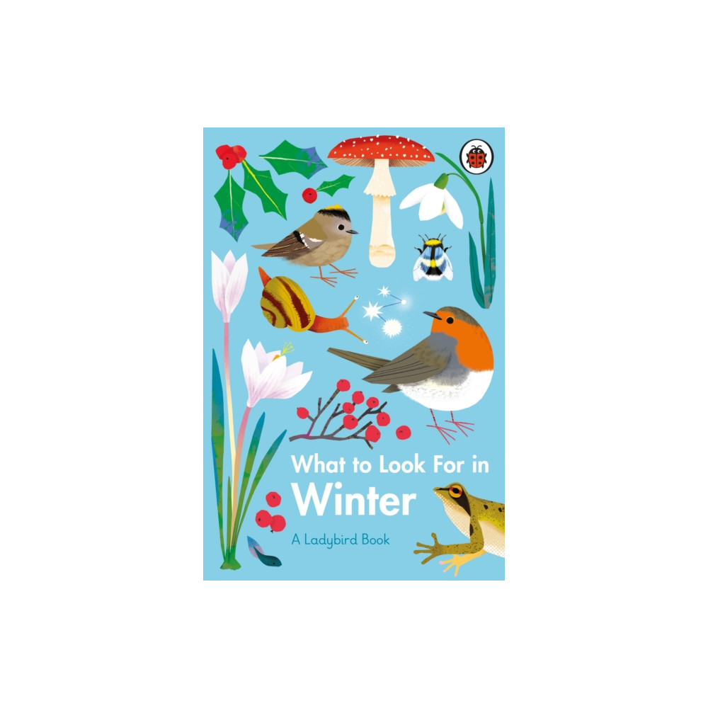 Produktbild för What to Look For in Winter (inbunden, eng)
