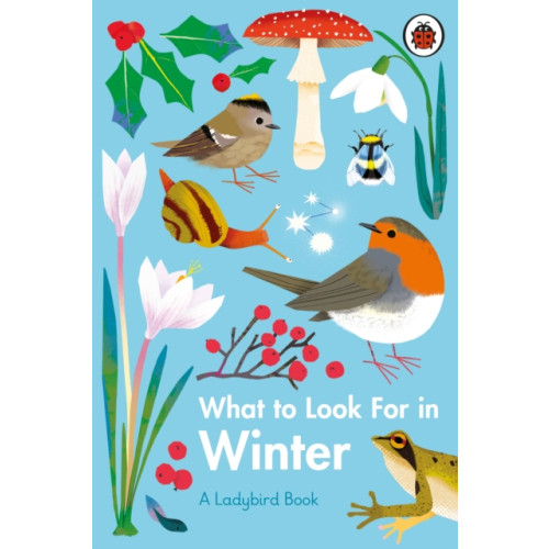 Penguin Random House Children's UK What to Look For in Winter (inbunden, eng)