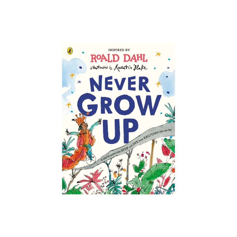 Produktbild för Never Grow Up (häftad, eng)