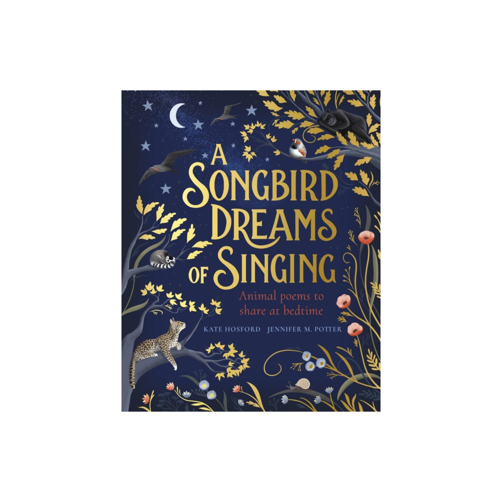 Produktbild för A Songbird Dreams of Singing (häftad, eng)