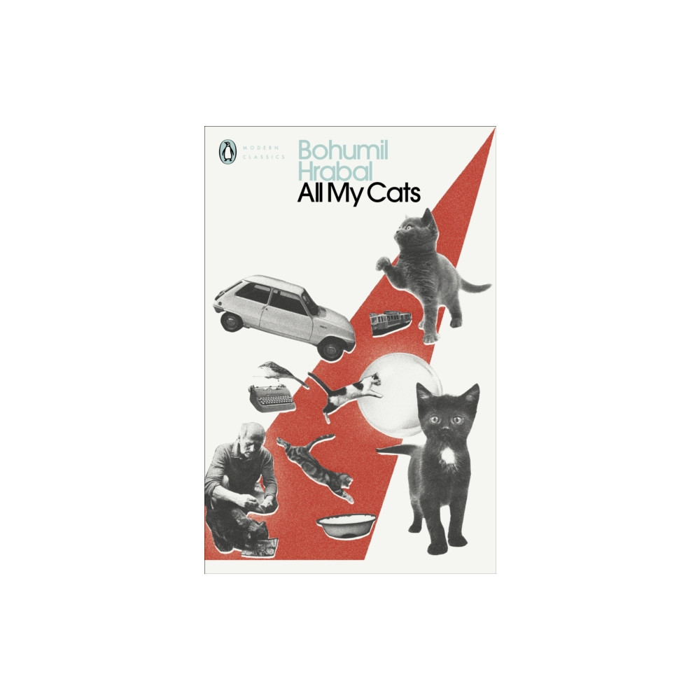 Produktbild för All My Cats (häftad, eng)
