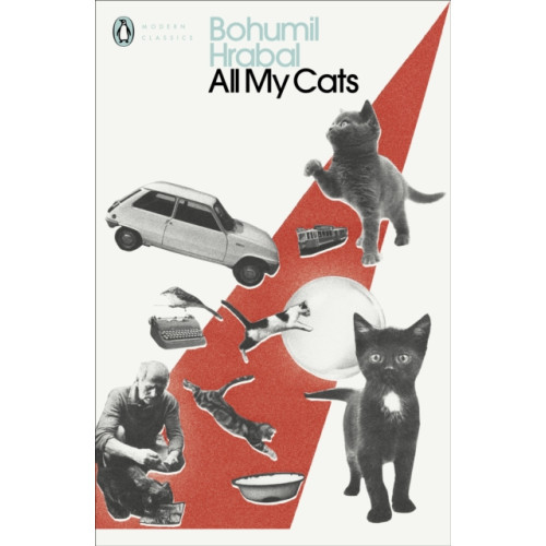 Penguin books ltd All My Cats (häftad, eng)