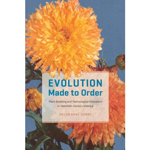 The university of chicago press Evolution Made to Order (häftad, eng)