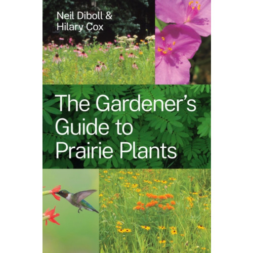 The university of chicago press The Gardener's Guide to Prairie Plants (häftad, eng)