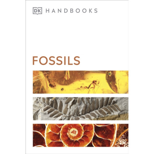Dorling Kindersley Ltd Fossils (häftad, eng)