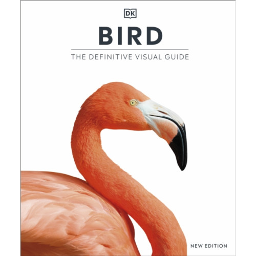 Dorling Kindersley Ltd Bird (inbunden, eng)