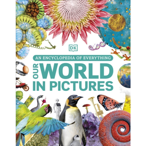 Dorling Kindersley Ltd Our World in Pictures (inbunden, eng)