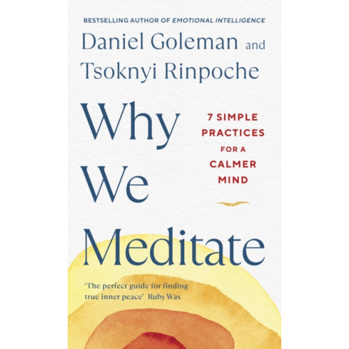 Penguin books ltd Why We Meditate (inbunden, eng)