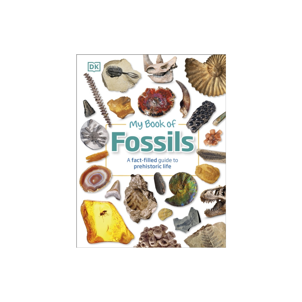 Produktbild för My Book of Fossils (inbunden, eng)